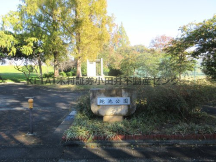 の画像