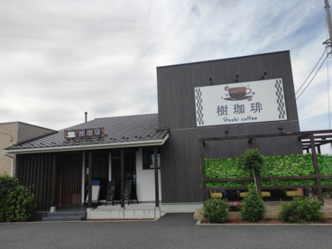 樹珈琲の画像1