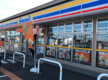 ミニストップ 日高南平沢店