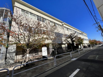 守口市立さつき学園