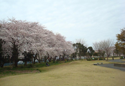 船越公園の画像1