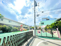 練馬白菊幼稚園