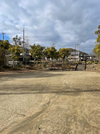 アメリカフウ公園の画像2