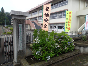 桐生市立 桜木小学校の画像1