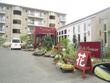 ベルフラワー浜松店の画像1