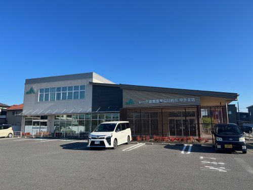 の画像