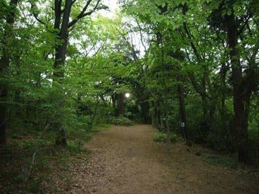 武蔵台緑地の画像1