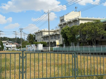 わかば小の画像1