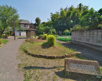 世田谷区立石井戸公園の画像1
