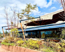 ブッフェ ザ ヴィラ 玉川高島屋S・Cガーデンアイランド