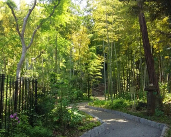 瀬田四丁目南緑地の画像1