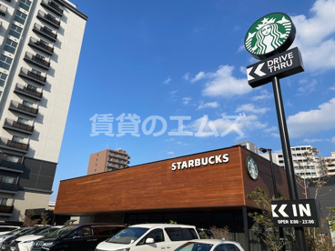 スターバックスコーヒー 博多千代県庁口店 スターバックスコーヒー 博多千代県庁口店の画像2