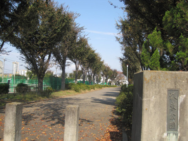 坂東公園の画像1