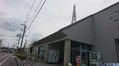 世界凧博物館東近江大凧会館の画像1