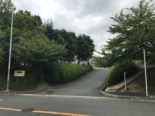 の画像