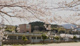 宮小学校の画像