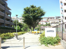 山崎ひめしゃら公園