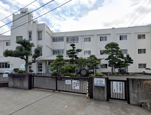 の画像