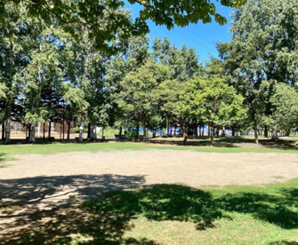 発寒公園の画像1