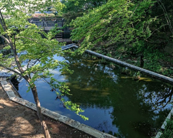 岡本わきみず緑地の画像1