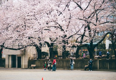 西大井広場公園の画像1