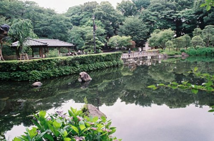 戸越公園の画像1
