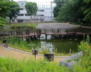 文庫の森の画像1