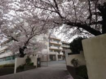小学校 海老名市立海老名小学校