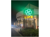 ライフ 上池台店