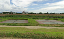 大和川河川敷公園テニスコート
