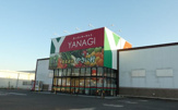 YANAGI内海店