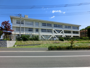 井野小学校の画像2