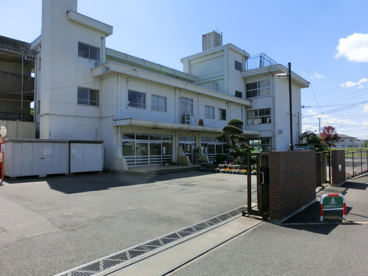 井野小学校の画像3