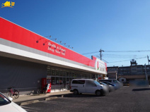 ドラッグストアセキ 久喜青毛店