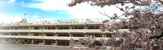 浦安市立美浜南小学校