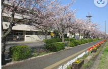 浦安市立富岡小学校