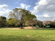流山市総合運動公園の画像