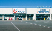 カワチ薬品 神立店