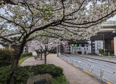 箱崎川第一公園の画像1