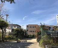 中野区 桜山公園