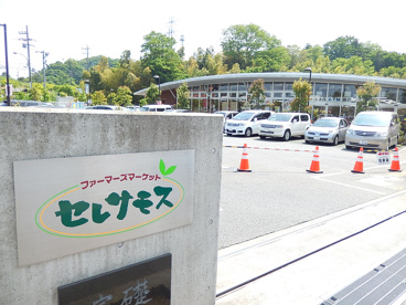 ＪＡセレサ川崎セレサモスの画像1