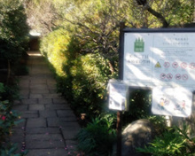 公園 粕谷二丁目本橋家の竹林市民緑地