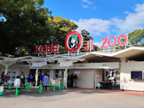 神戸市立王子動物園