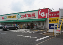 スギ薬局 宮前四丁目店