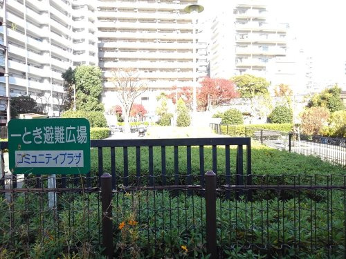 の画像