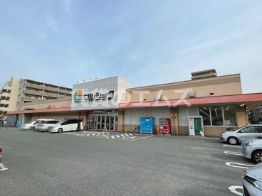 マルショク 吉塚駅東店 マルショク 吉塚駅東店の画像2