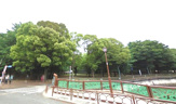 城北中央公園
