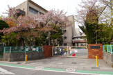 西宮市立樋ノ口小学校