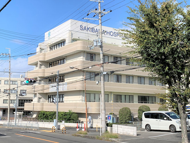 の画像