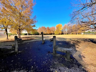 梶野公園の画像3